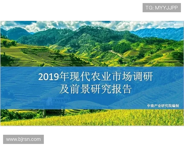 布鲁诺技术的崛起影响行业标准，市场前景备受关注